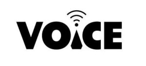 voice identity logo